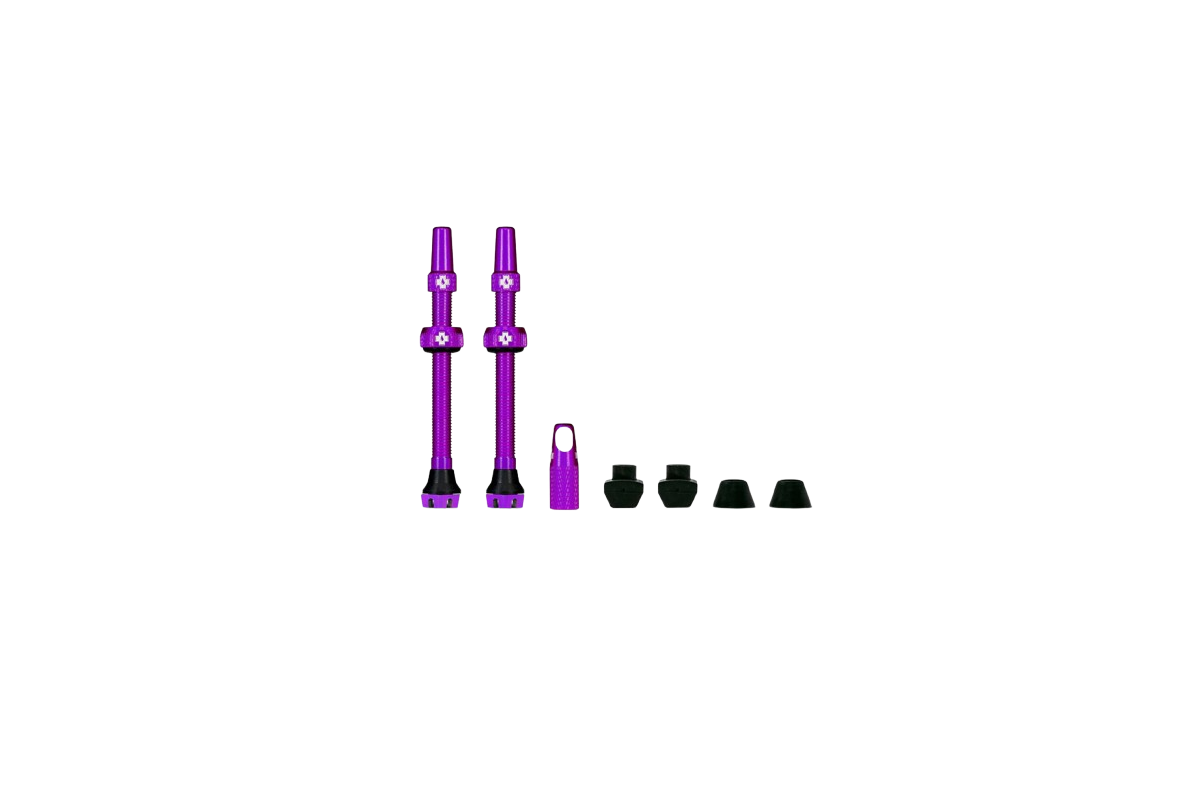 VALVOLA TUBELESS MUC-OFF 60MM VIOLA COPPIA