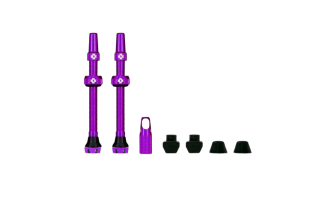 VALVOLA TUBELESS MUC-OFF 60MM VIOLA COPPIA