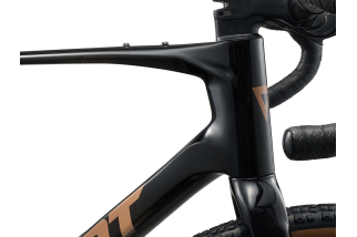 Doctorbike GIANT REVOLT ADVANCED 2 CARBON