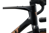 Doctorbike GIANT REVOLT ADVANCED 2 CARBON