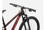 TREK PROCALIBER 6 - RED SERPENTINE - 3
