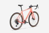 Doctorbike CHECKPOINT ALR 4 GEN 3 - LIVING CORAL