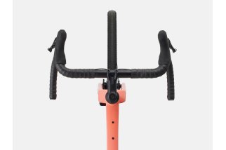Doctorbike CHECKPOINT ALR 4 GEN 3 - LIVING CORAL