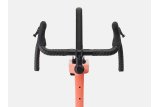 Doctorbike CHECKPOINT ALR 4 GEN 3 - LIVING CORAL