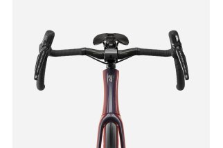 Doctorbike DOMANE SLR 9 GEN 5 - SERPENTINE