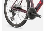 Doctorbike DOMANE SLR 9 AXS 1X GEN 5 - SERPENTINE