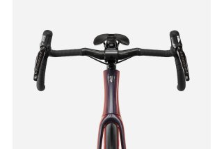 Doctorbike DOMANE SLR 7 GEN 5 - SERPENTINE