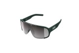 Doctorbike ASPIRE WF - PARGASITE GREEN/CLARITY ROAD/SUNNY SILVER