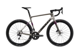 Doctorbike RIDLEY FALCN ULTEGRA DI2 - AUTUMN GREY (2027)