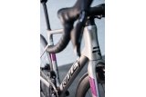 Doctorbike RIDLEY FALCN FORCE AXS - AUTUMN GREY (2027)