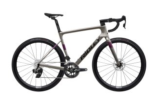 Doctorbike RIDLEY FALCN RIVAL AXS - AUTUMN GREY (2027)
