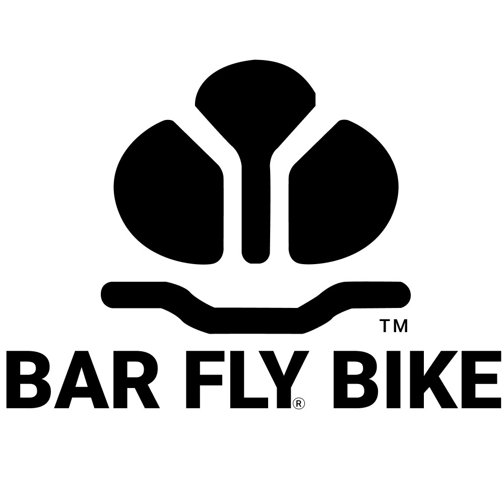 BAR FLY